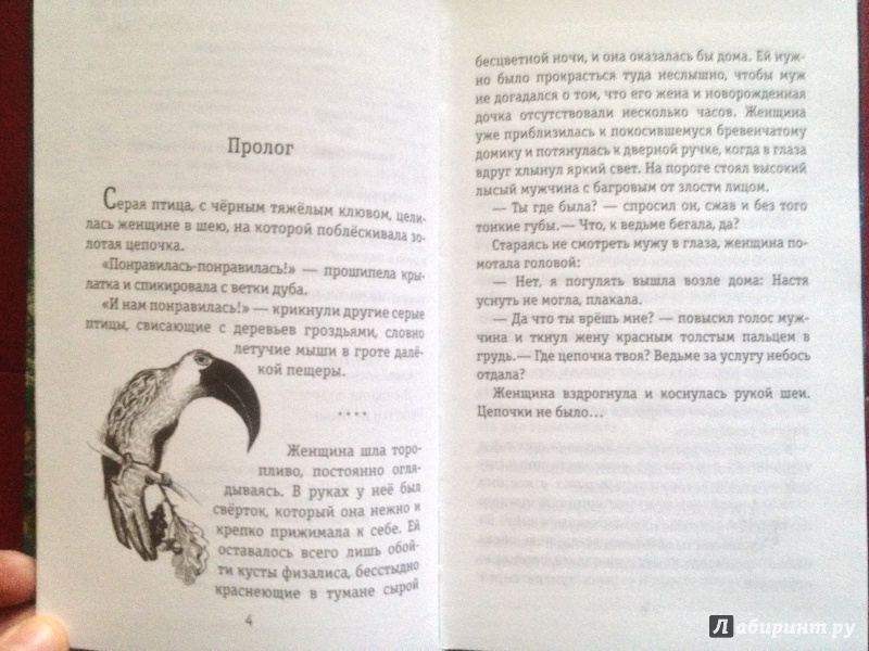Иллюстрация 4 из 6 для Ведьма Страны Туманов - Тоня Шипулина | Лабиринт - книги. Источник: bashmachok