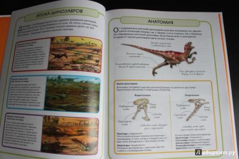 Иллюстрация 2 из 29 для Динозавры - Стив Паркер | Лабиринт - книги. Источник: Фролова  Екатерина