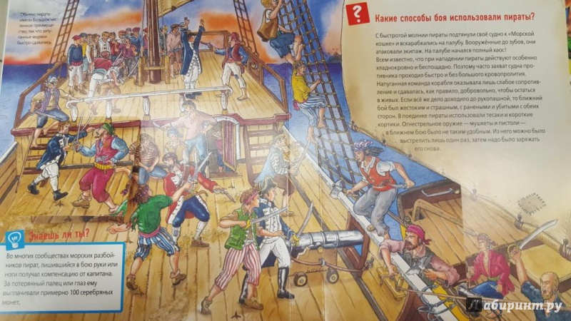 Иллюстрация 16 из 18 для Пираты | Лабиринт - книги. Источник: Теплова  Юлия