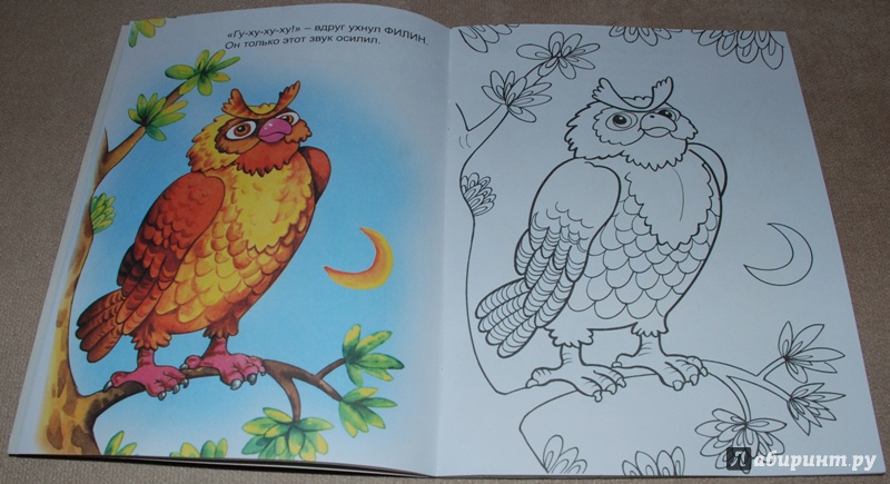 Иллюстрация 14 из 26 для Птичьи голоса - Юрий Чичев | Лабиринт - книги. Источник: Книжный кот