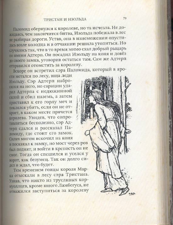 Иллюстрация 36 из 66 для Легенды о короле Артуре | Лабиринт - книги. Источник: Пчёлка Майя