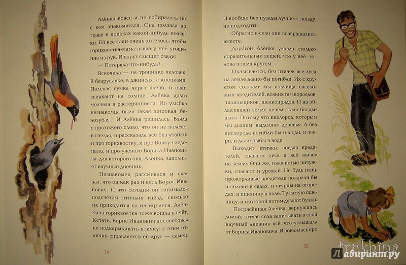 Иллюстрация 43 из 46 для Аленкин выводок - Виктор Балашов | Лабиринт - книги. Источник: Трухина Ирина