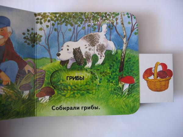 Иллюстрация 4 из 13 для Прогулка в лесу - Ольга Мяэотс | Лабиринт - книги. Источник: Репина  Наталья