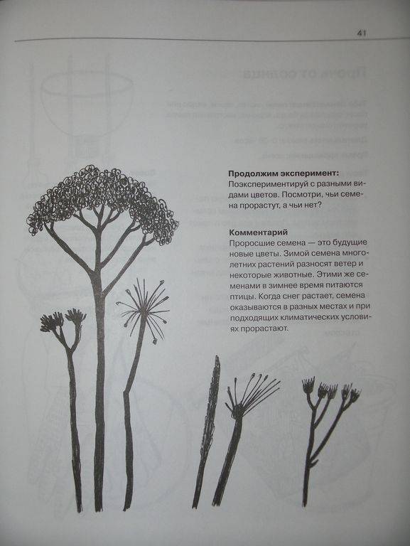 Иллюстрация 13 из 17 для Тайны биологии - Левемарк, Фреск | Лабиринт - книги. Источник: Мариста