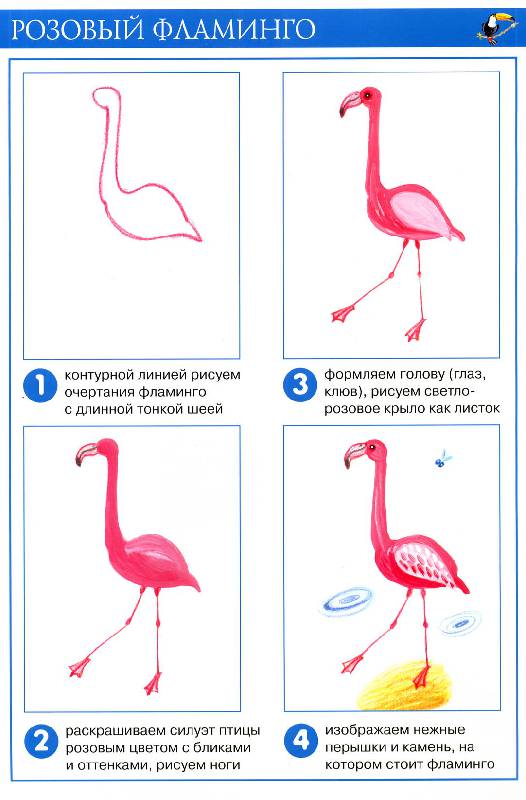 Иллюстрация 10 из 21 для Заморские птицы (рисование красками) - Ирина Лыкова | Лабиринт - книги. Источник: Росинка