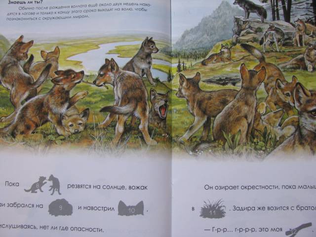 Иллюстрация 14 из 21 для Я учусь читать с наклейками. Волчонок Задира | Лабиринт - книги. Источник: Nemertona