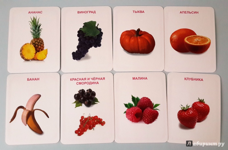 Иллюстрация 2 из 19 для Овощи, фрукты, ягоды (32 карточки) | Лабиринт - книги. Источник: Кошкина  Катерина