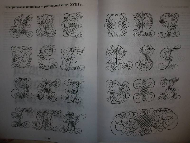 Иллюстрация 7 из 15 для Учимся писать шрифты вместе с Владимиром Васюком - Владимир Васюк | Лабиринт - книги. Источник: Tiger.