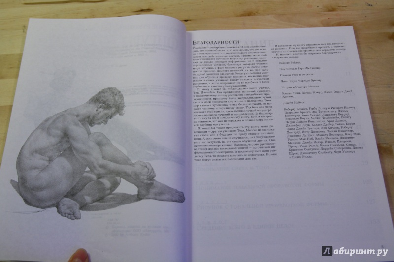 Иллюстрация 25 из 42 для Полное руководство по рисованию фигуры человека - Энтони Райдер | Лабиринт - книги. Источник: Тарабановская  Инна
