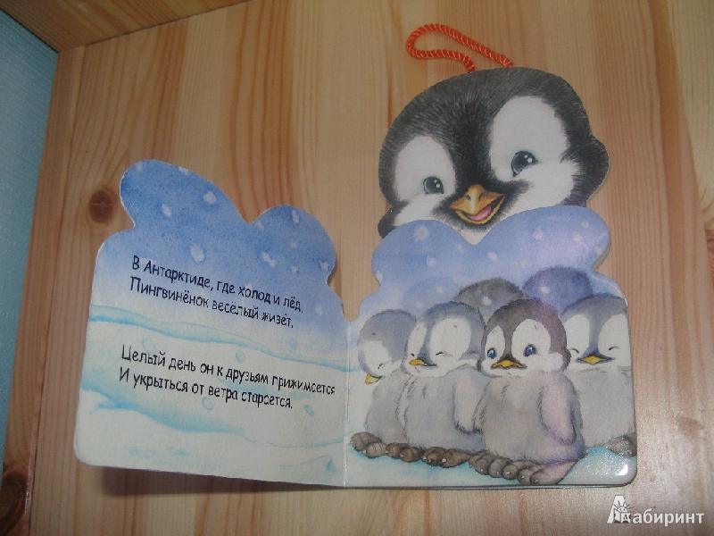 Иллюстрация 5 из 6 для Мой друг пингвин - Бурмистрова, Мороз | Лабиринт - книги. Источник: Линок_