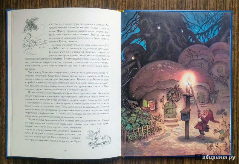 Иллюстрация 77 из 78 для В стране гномов - Эрих Хайнеманн | Лабиринт - книги. Источник: Natalie Leigh