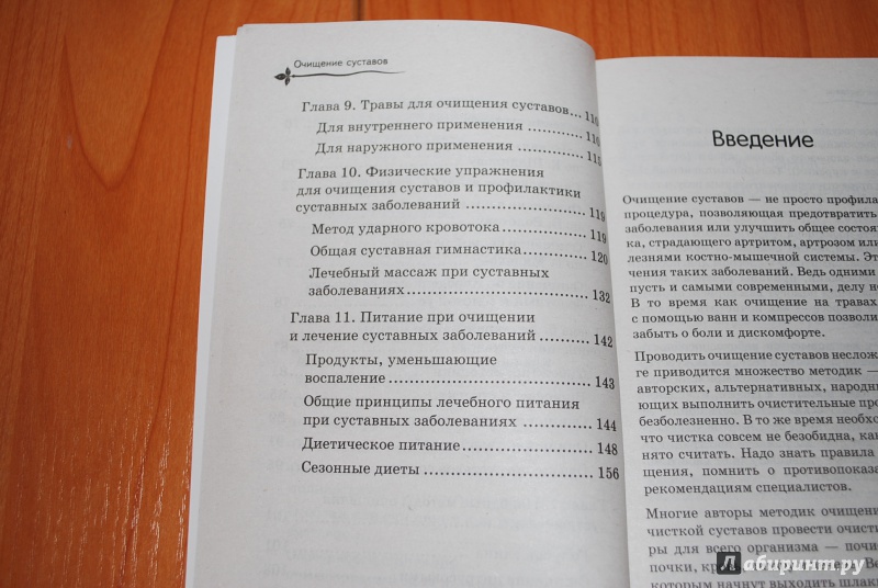 Иллюстрация 10 из 32 для Очищение суставов. Детокс. Жизнь без токсинов - Людмила Рудницкая | Лабиринт - книги. Источник: Нади