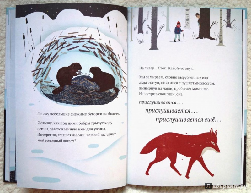 Иллюстрация 21 из 45 для На снегу и под снегом - Кейт Месснер | Лабиринт - книги. Источник: Fly