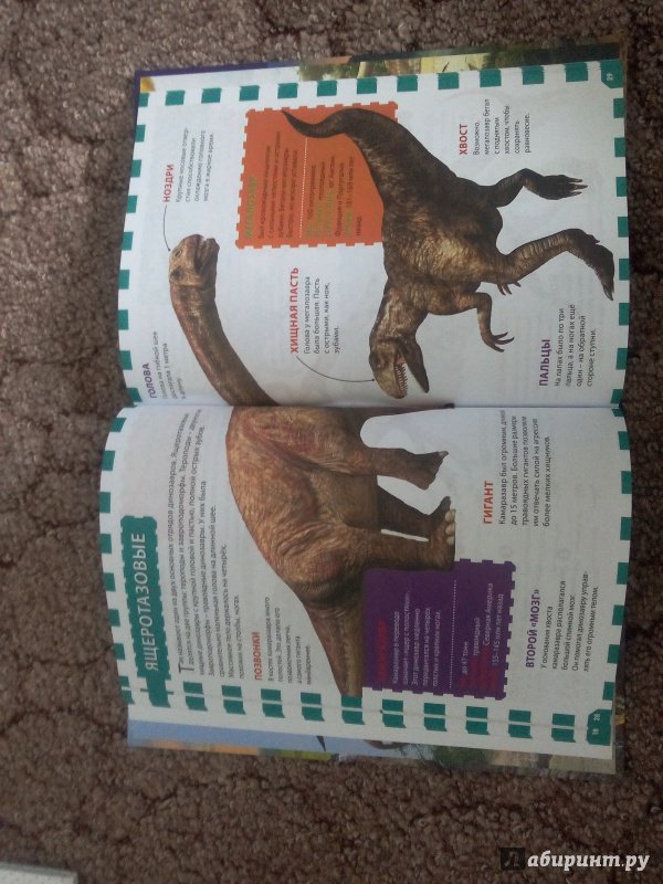 Иллюстрация 11 из 36 для Динозавры | Лабиринт - книги. Источник: Сусанна Коломиец