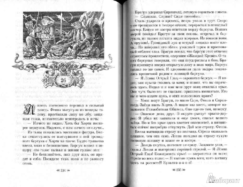 Иллюстрация 17 из 20 для Меч Мартина - Брайан Джейкс | Лабиринт - книги. Источник: Дочкин  Сергей Александрович