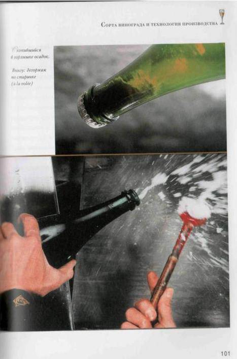 Иллюстрация 37 из 41 для Шампанское и другие игристые вина Франции - Юрий Зыбцев | Лабиринт - книги. Источник: Юта