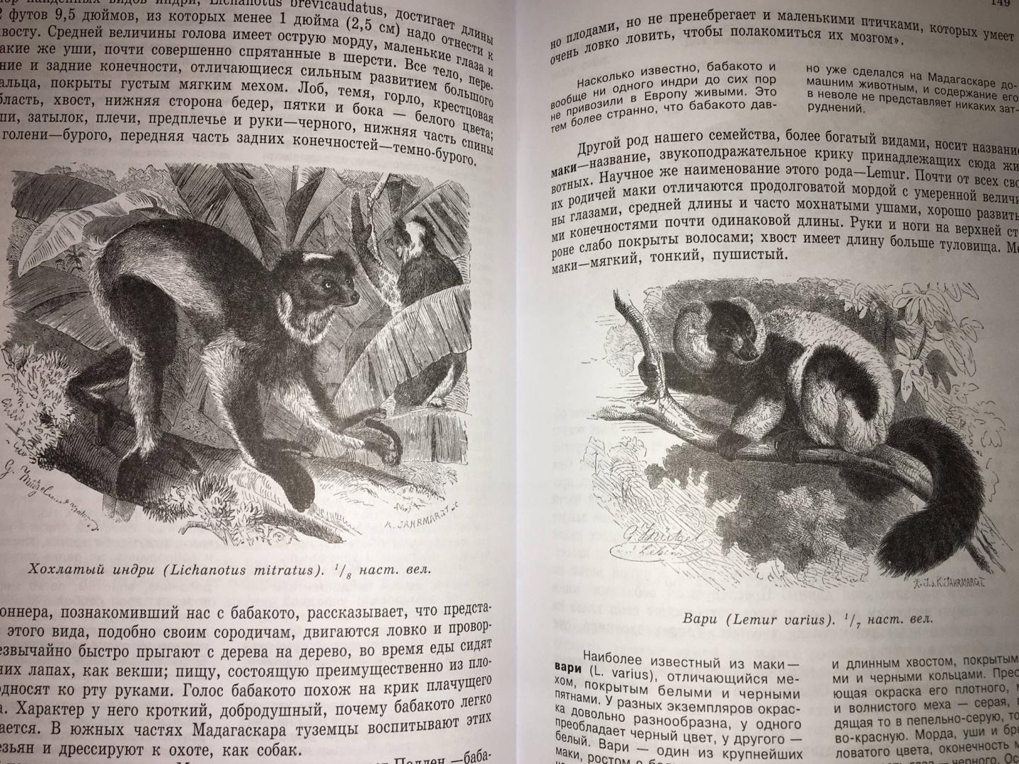 Иллюстрация 12 из 35 для Жизнь животных. В 3-х томах - Альфред Брем | Лабиринт - книги. Источник: Andrey Gorbushin