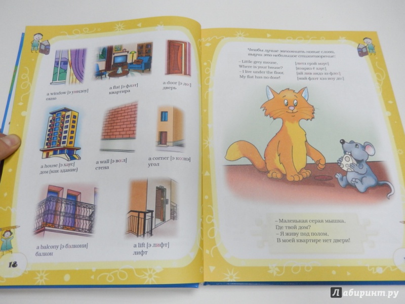 Иллюстрация 5 из 8 для Английский язык для умных детей - Кузнецова, Молодченко | Лабиринт - книги. Источник: dbyyb