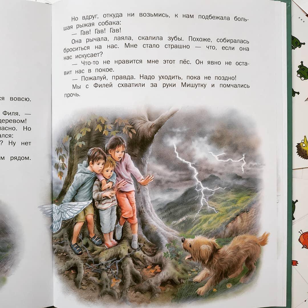 Иллюстрация 42 из 45 для Маруся - подружка всех зверят. В лесу. В деревне - Делаэ, Марлье | Лабиринт - книги. Источник: Отзывы читателей