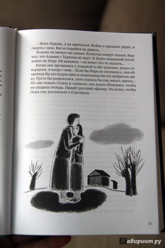 Иллюстрация 20 из 43 для Привыкни к свету - Маша Рольникайте | Лабиринт - книги. Источник: Vera Grey
