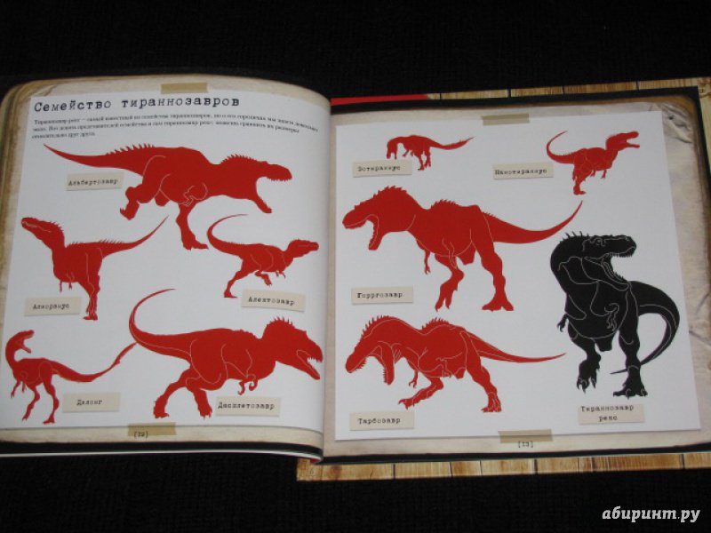 Иллюстрация 10 из 19 для Тираннозавр Rex | Лабиринт - книги. Источник: Nemertona