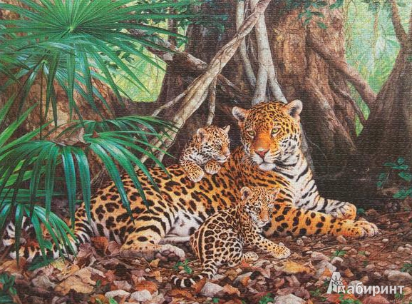 Иллюстрация 2 из 8 для Puzzle-3000 "Ягуары в джунглях" (С-300280) | Лабиринт - игрушки. Источник: ЛиС-а