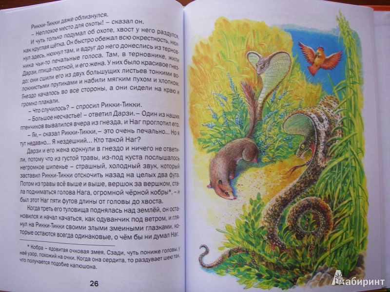 Иллюстрация 9 из 44 для Сказки - Редьярд Киплинг | Лабиринт - книги. Источник: Фролова  Александра