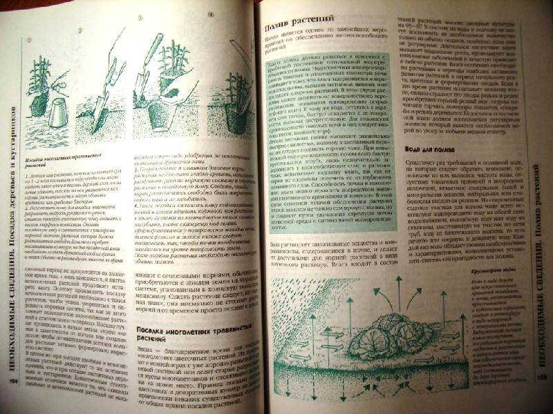 Иллюстрация 41 из 41 для Большая книга садовода и огородника - Октябрина Ганичкина | Лабиринт - книги. Источник: Алёнка