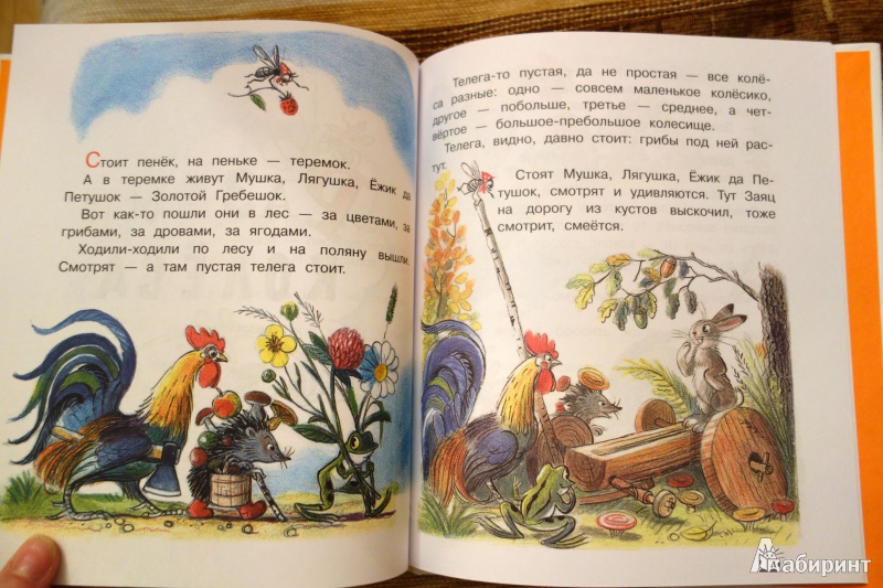 Иллюстрация 9 из 32 для Разноцветные истории - Владимир Сутеев | Лабиринт - книги. Источник: Черняк  Галина