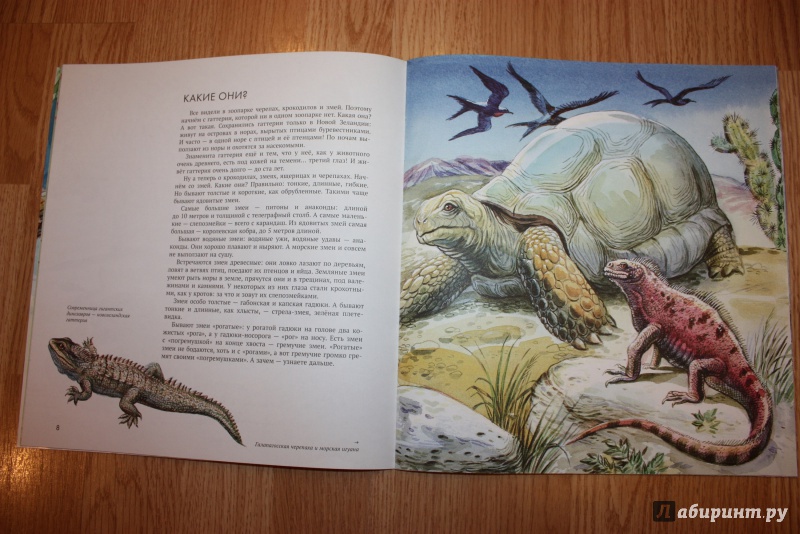 Иллюстрация 34 из 44 для Рептилии - Николай Сладков | Лабиринт - книги. Источник: Bradbury