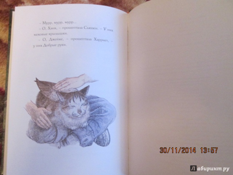 Иллюстрация 34 из 59 для Крылатые кошки - Гуин Ле | Лабиринт - книги. Источник: Сироткина  Мария