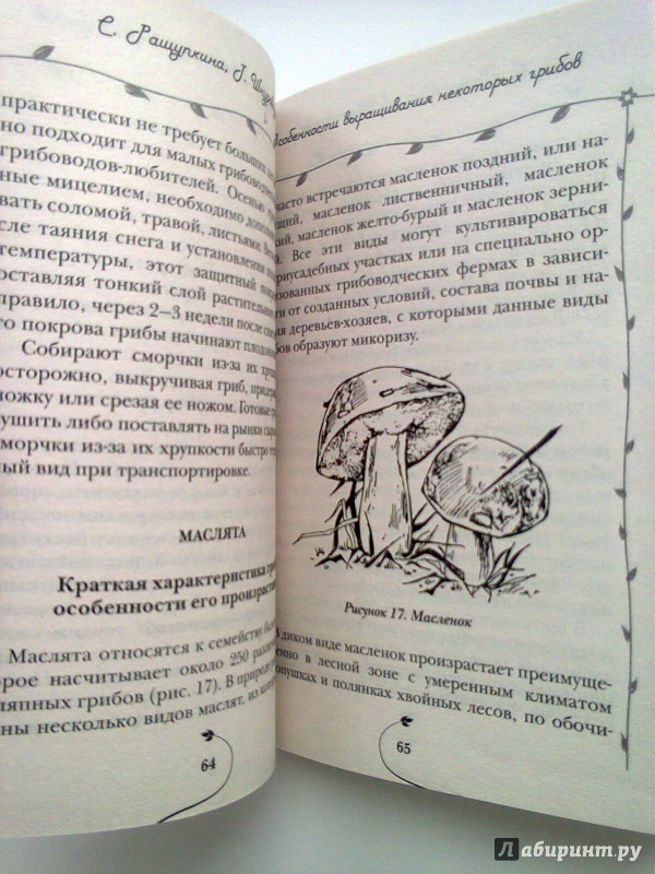 Иллюстрация 5 из 6 для Грибы выращиваем на своем участке - Ращупкина, Шнуровозова | Лабиринт - книги. Источник: Sonya Summer