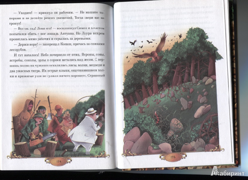 Иллюстрация 5 из 32 для Тайна заколдованного леса - Елена Хрусталева | Лабиринт - книги. Источник: Марфа Посадница