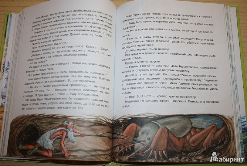 Иллюстрация 10 из 24 для Необыкновенные приключения Карика и Вали - Ян Ларри | Лабиринт - книги. Источник: КНИЖНОЕ ДЕТСТВО