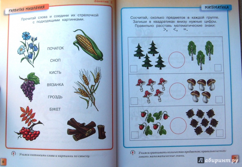 Иллюстрация 19 из 53 для Грамотейка. Интеллектуальное развитие детей 5-6 лет - Ольга Земцова | Лабиринт - книги. Источник: Соловьев  Владимир