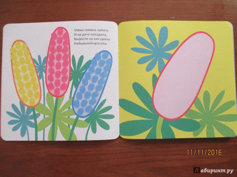 Иллюстрация 7 из 8 для Растения | Лабиринт - книги. Источник: Марина Епифанцева