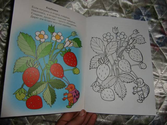Иллюстрация 9 из 22 для Во саду ли, в огороде - Скребцова, Лопатина | Лабиринт - книги. Источник: Лимпи