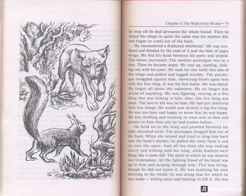Иллюстрация 7 из 13 для White Fang - Джек Лондон | Лабиринт - книги. Источник: Эля