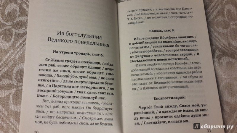 Иллюстрация 5 из 29 для Путеводитель по Великому посту. Страстная седмица. Великий понедельник. История. Богослужение | Лабиринт - книги. Источник: Егорова  Татьяна Борисовна