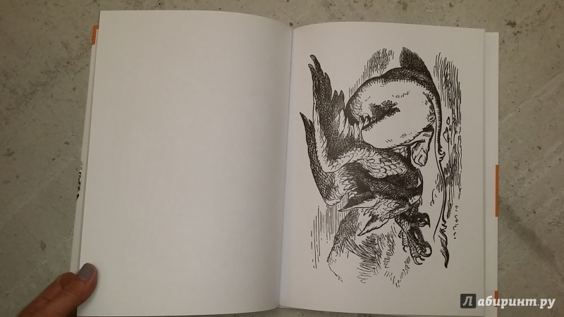 Иллюстрация 18 из 18 для Алиса Джона Тенниела. Раскраски, поднимающие настроение | Лабиринт - книги. Источник: Машкова Анна