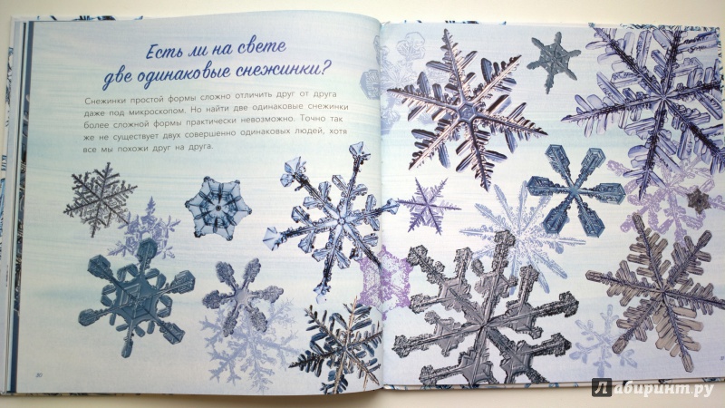 Иллюстрация 25 из 62 для Снег. Зимнее чудо - Кассино, Нельсон | Лабиринт - книги. Источник: Надежда