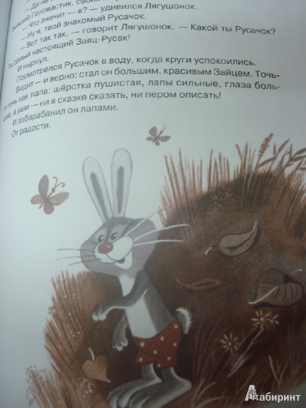 Иллюстрация 13 из 82 для Русачок - Борис Заходер | Лабиринт - книги. Источник: marpol