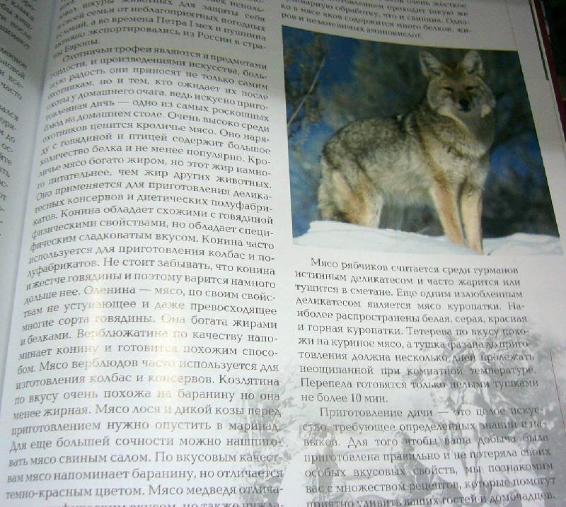 Иллюстрация 14 из 25 для Кулинарная книга охотника - М. Дегтярев | Лабиринт - книги. Источник: Nika