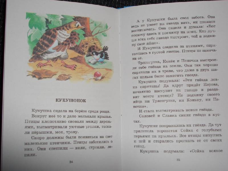 Иллюстрация 2 из 8 для Лесные домишки - Виталий Бианки | Лабиринт - книги. Источник: sher