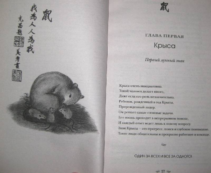 Иллюстрация 9 из 15 для Китайские гороскопы для ваших детей - Теодора Лау | Лабиринт - книги. Источник: Frosty
