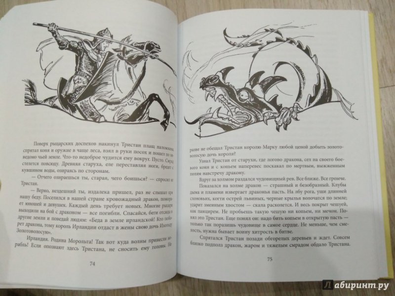 Иллюстрация 11 из 37 для В стране легенд. Легенды минувших веков в пересказе для детей | Лабиринт - книги. Источник: Тайна