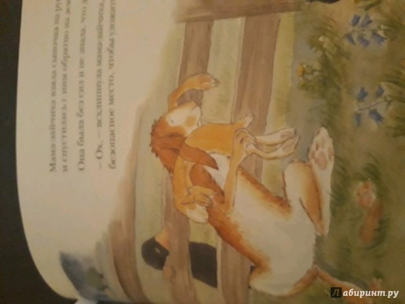 Иллюстрация 74 из 82 для Куда уложить зайчонка? - Шеридан Кейн | Лабиринт - книги. Источник: Лабиринт