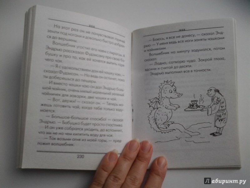 Иллюстрация 39 из 43 для Беседы с тигром - Дональд Биссет | Лабиринт - книги. Источник: Достойная
