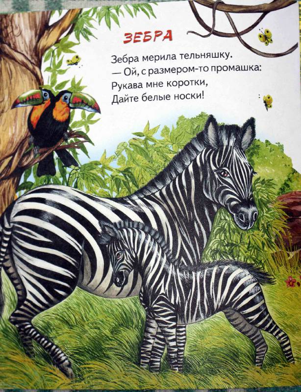 Иллюстрация 4 из 4 для Ребятам о зверятах. Мы идем по зоопарку - И. Новикова | Лабиринт - книги. Источник: niknel