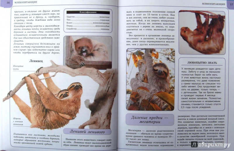 Иллюстрация 27 из 31 для Животные | Лабиринт - книги. Источник: Соловьев  Владимир